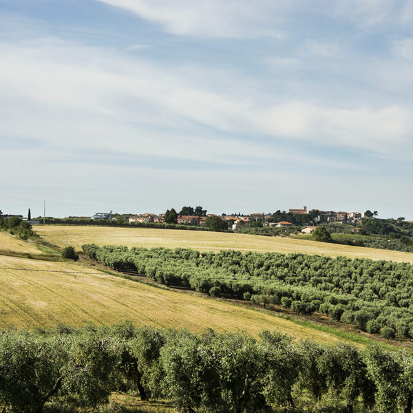 chieuti-marina-antica-torre-bed-and-breakfast-1